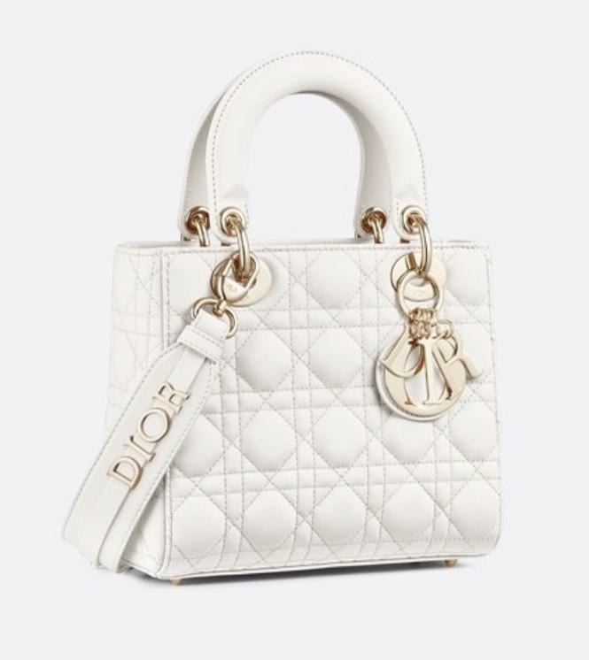 디올_LADY DIOR MY ABCDIOR 백