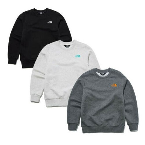 노스페이스_키즈베이직눕시로고스웨트셔츠 DARK GRAY thumbnail