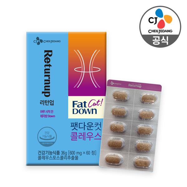 CJ_리턴업 팻다운 컷 콜레우스