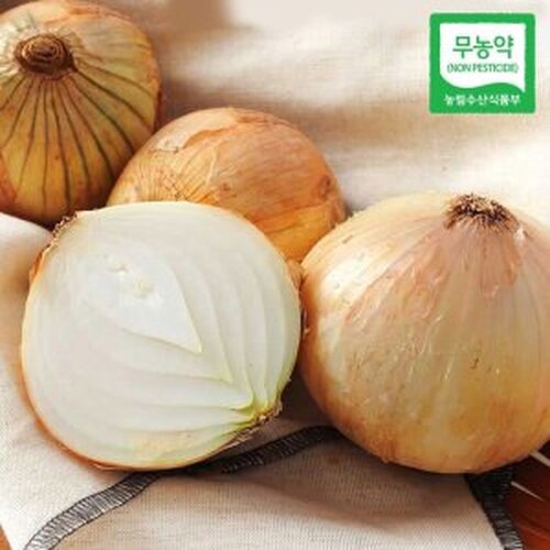 CJ_무농약 햇양파