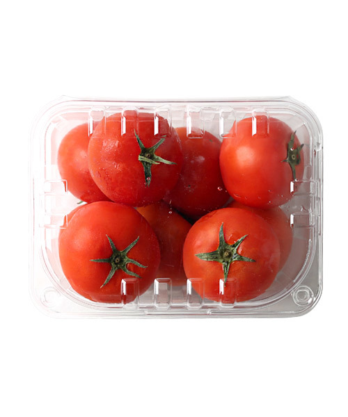 CJ_친환경 토마토