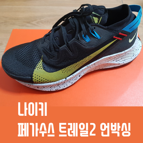 나이키_페가수스 트레일2