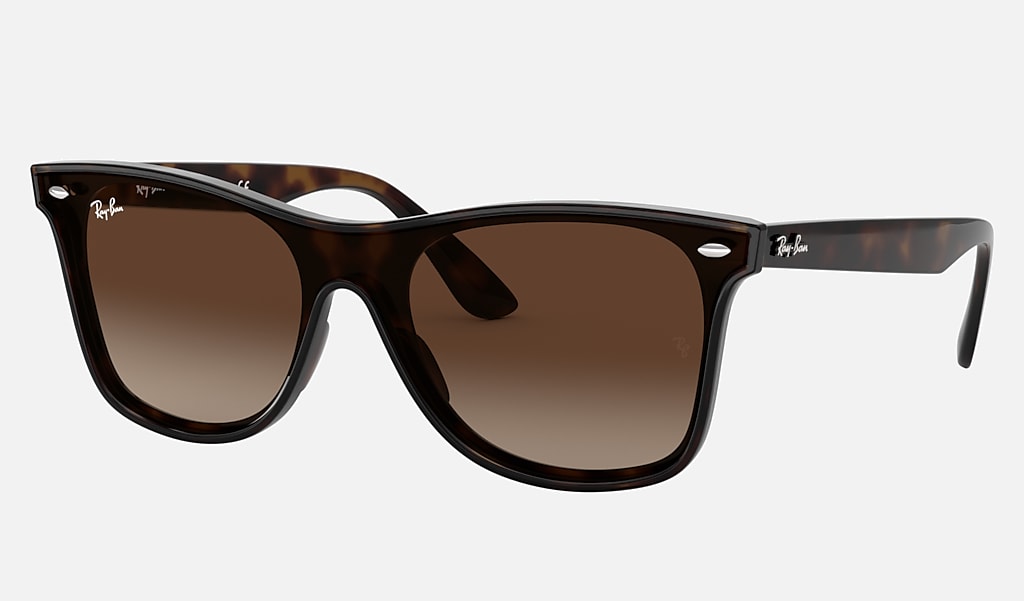 레이번_BLAZE WAYFARER
