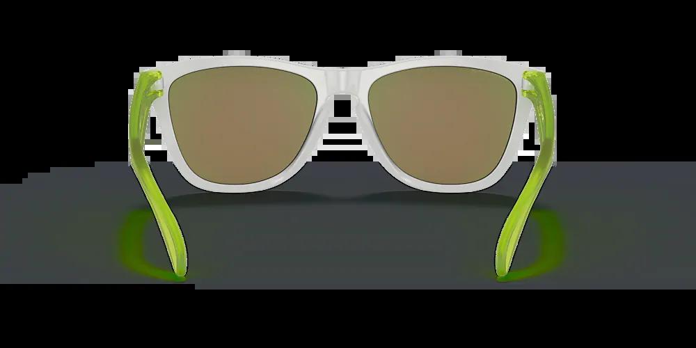 오클리_Frogskins Origins Collection thumbnail
